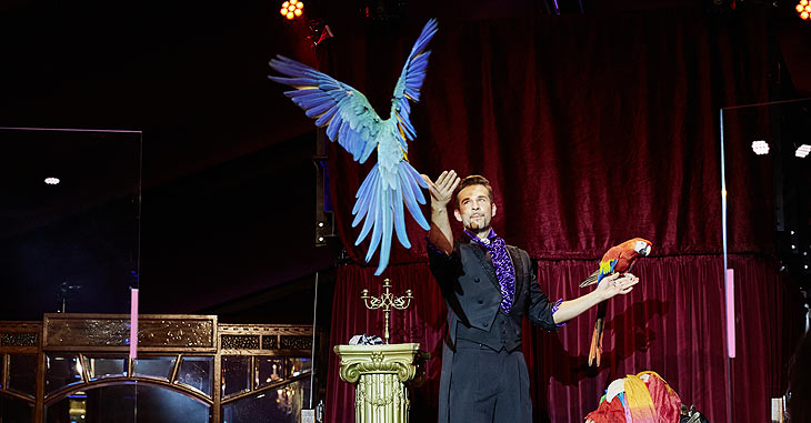 mit absoluter Leichtigkeit zaubert Sergey Stupakov Tauben und exotische Papageien aus dem Nichts hervor bei "Festival" im teatro 2021/2022 (©Foto: teatro events gmbh)
